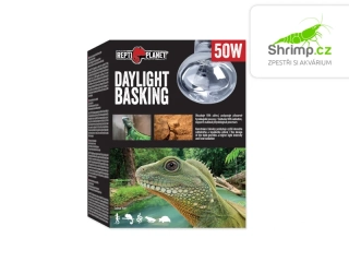 Repti Planet Žárovka Daylight Basking Spot 50W